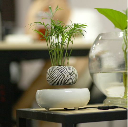 Elevate Your Space