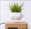 HoverWood Levitation Pot
